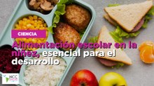Alimentación escolar en la niñez, esencial para el desarrollo