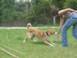 Vanook en obérythmée le 23 juin
