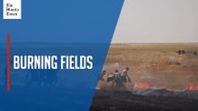 Wildfires sweep through wheat fields in Syria's Qamishli countryside