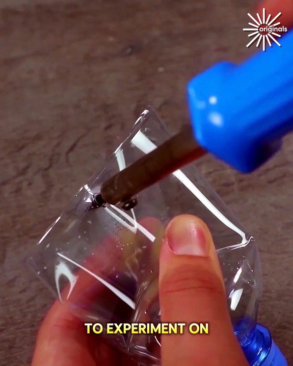 Let's unlock your DIY potential with these clever tips and tricks!