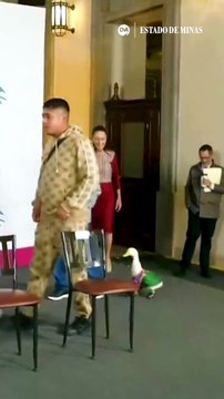 Pato que viralizou na Copa ganha reconhecimento oficial