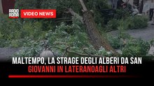 Maltempo, La Strage Degli Alberi da San Giovanni in Laterano agli altri