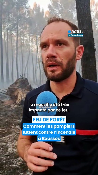 Feux de forêt en Lot-et-Garonne : comment les pompiers luttent contre l'incendie ?