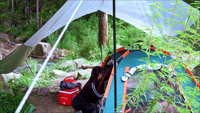 🏕️ Solo Camping in the Wilderness Tent Setup, Camp Cooking & Relaxing Creek Sounds ASMR
