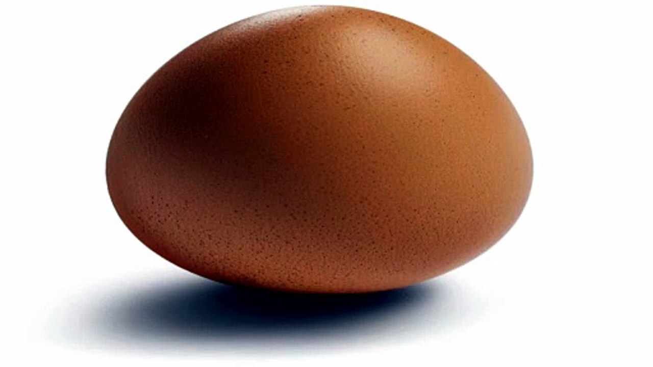egg