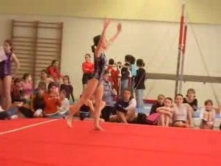 ssl championnat régional 2007-2008