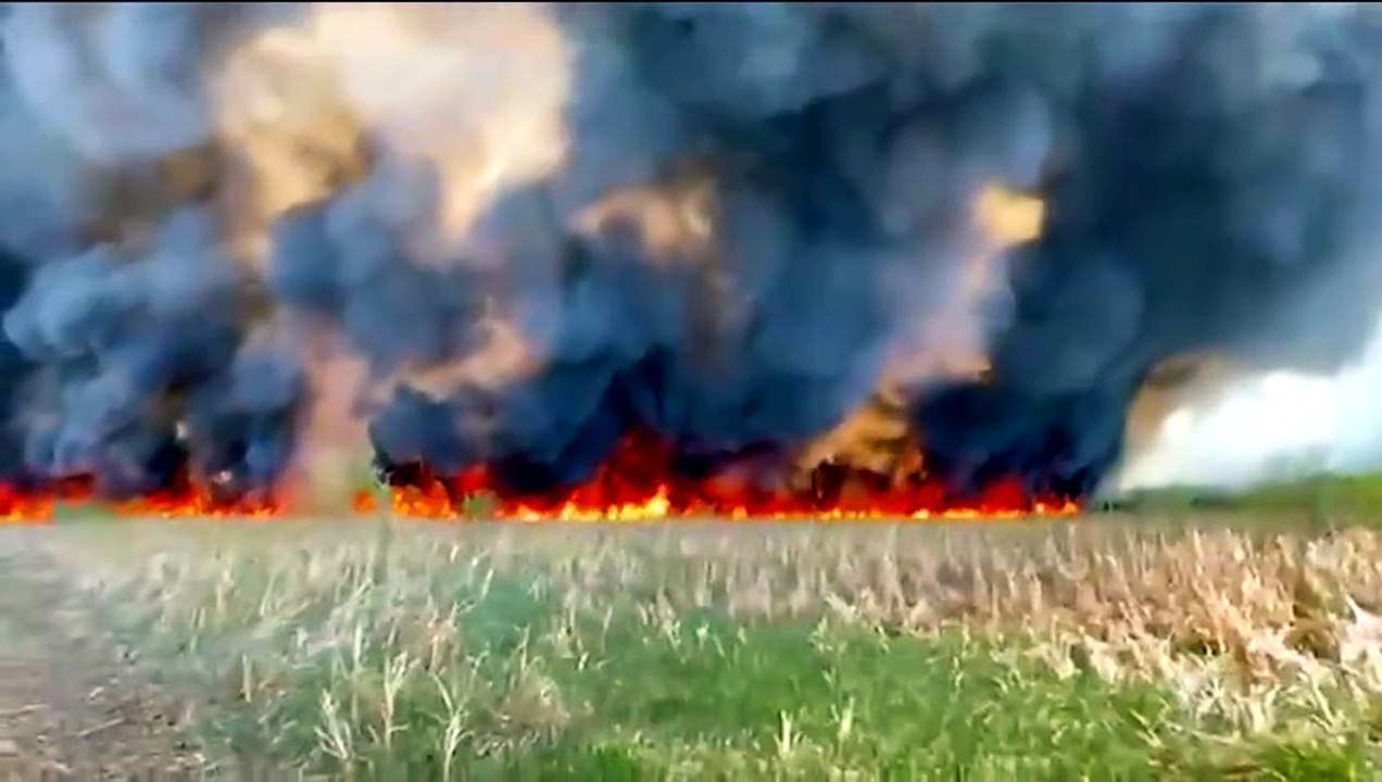 ext-incendio-en-parque-nacional-palo-verde-010626 [Full Movie]