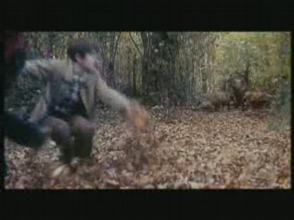 Les chroniques de Spiderwick : Bande Annocne