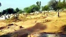VID-20260624-
