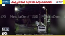പാലക്കാട് നെല്ലിയാമ്പതിയിൽ കാട്ടാന; എത്തിയത് പ്രാഥമിക ആരോഗ്യ കേന്ദ്രത്തിന് മുന്നിൽ