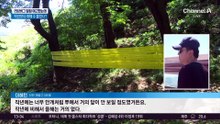 러브버그 절정 예고에도…작년보다 줄었다?