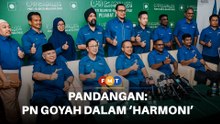 ‘Harmoni’ di luar, dalam PN terhuyung-hayang