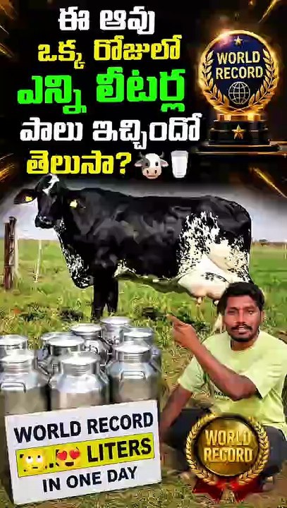 Do you know how many liters of milk this cow produced in a single day? 🐄🥛