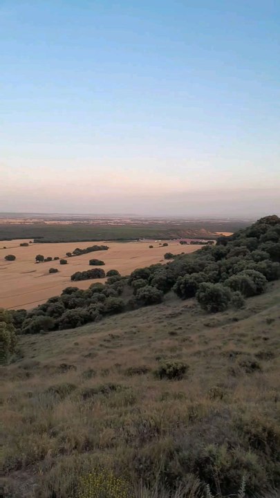 Harvesting Northern Spain (Huesca)