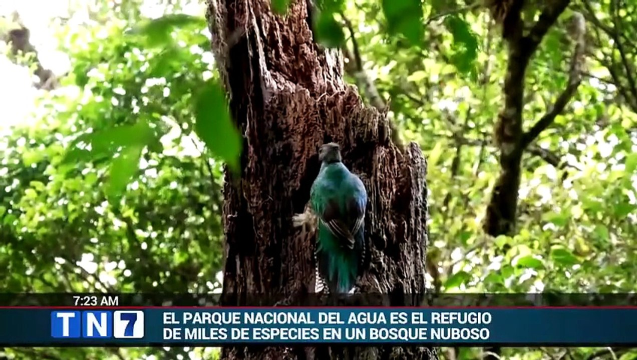 tn7-comunidad-evito-mina-de-azufre-y-salvo-refugio-del-quetzal-010626 [Full Movie]