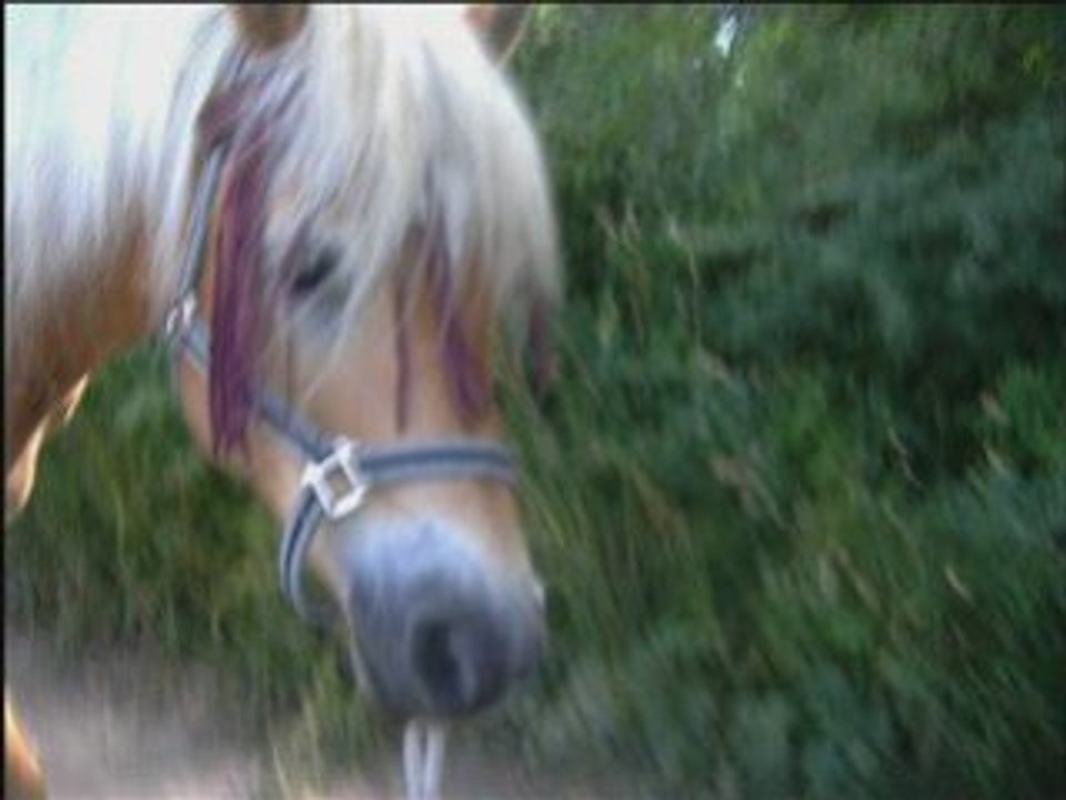 SansTitre_0002