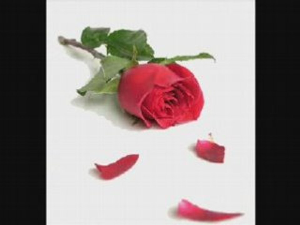 شيلوها