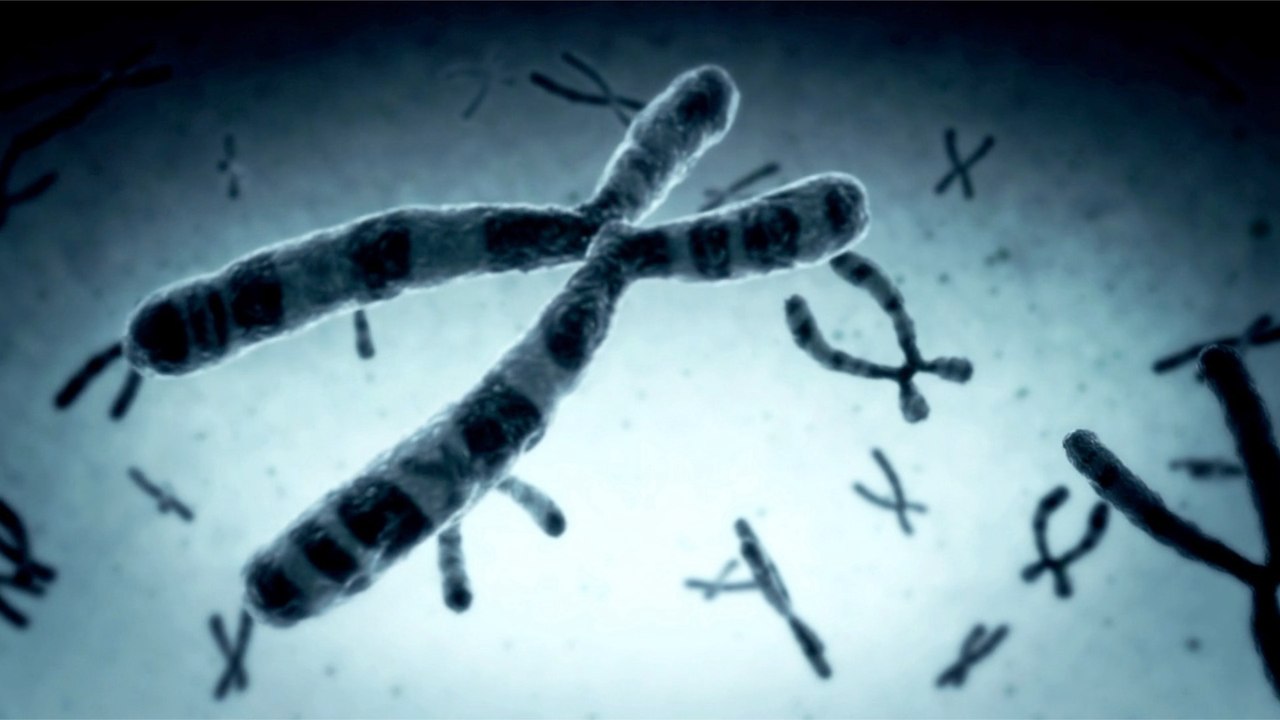 Zombie Cells and Aging: What They Do to Our Bodies