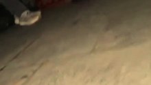 Découvrez les images de touristes effrayés qui se sont retrouvés bloqués au milieu d'une fusillade dans une favela de Rio de Janeiro entre des policiers et des narcotrafiquants