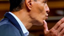 Sánchez, sobre el 'caso Koldo': "Jamás conocí ni hubiera tolerado estas prácticas"