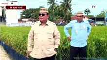 Prabowo Optimistis Indonesia Jadi Lumbung Padi Dunia, Produktivitas Panen Naik 100 Persen