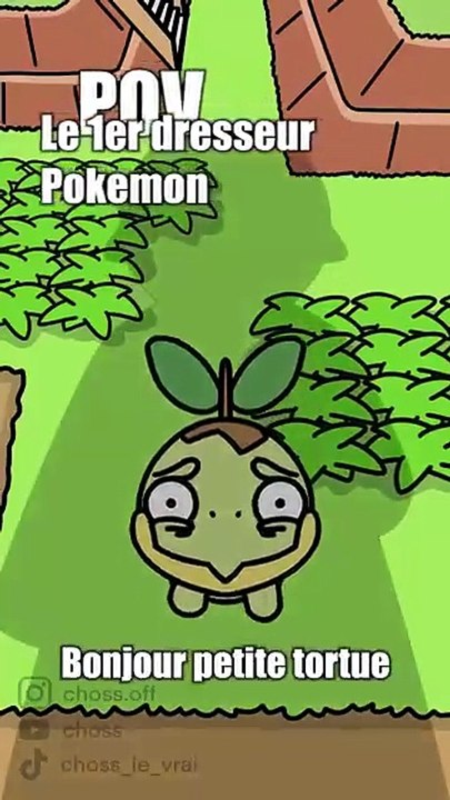 SI POKÉMON ÉTAIT RÉALISTE : La vérité sur les dresseurs ! 💀 (Pauvre Tortipouss)