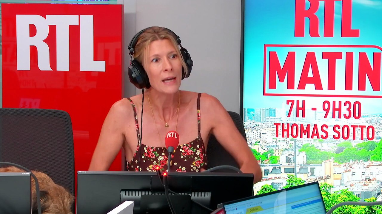 Comment nos animaux de compagnie vivent-ils cette canicule ?