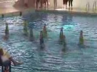 Groupe J2 Aquacup 2008