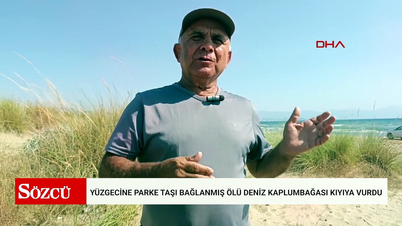 İzmir'de yüzgecine parke taşı bağlanmış ölü deniz kaplumbağası kıyıya vurdu
