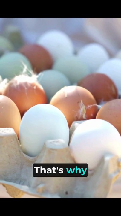 Egg Carton Supplier in India | Durable & Eco-Friendly Egg Packaging Solutions | Veena Egg Tray