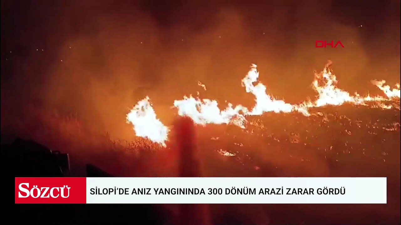 Silopi’de anız yangınında 300 dönüm arazi zarar gördü