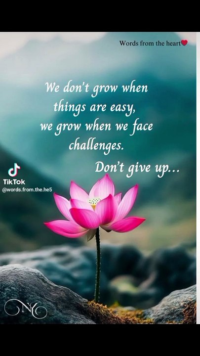Life Motivational Quotes