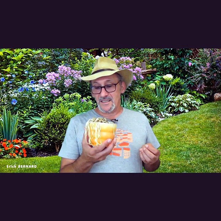 Tuto jardinage - Spécial canicule
