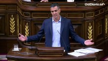 Sánchez reprocha a Feijóo su apoyo a la pareja de Ayuso: "Ustedes hostigan a mi mujer  y protegen a un tipo que se está haciendo millonario con la privatización de la salud".