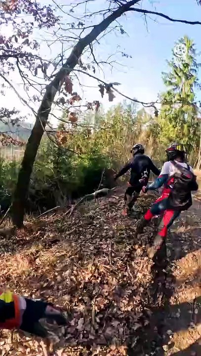 Dirt Bikers Abandon Their Ride to Rescue a Deer