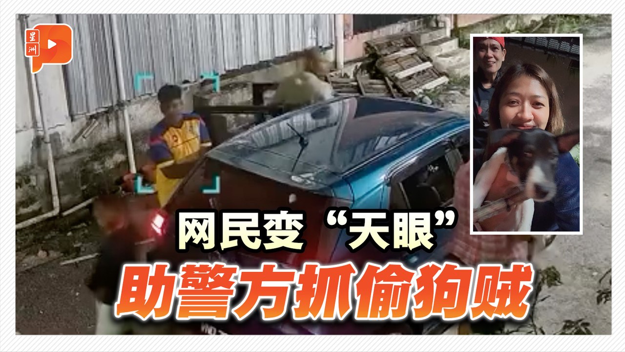 网民变“天眼” 助警方抓偷狗贼