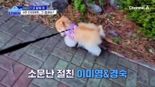 피할 수 없는 호르몬 변화 앞에 중년 여배우들도 예외는 아니다! 갱년기 여배우들의 다이어트 비법은?
