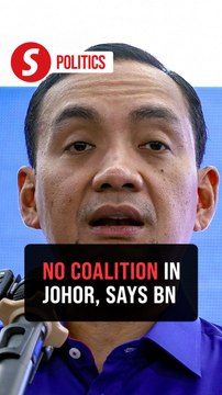 Johor BN rules out coalition government if it retains power, says Onn Hafiz