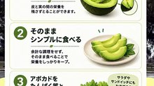 【栄養活用】栄養を最大限に！アボカドの正しい食べ方3選