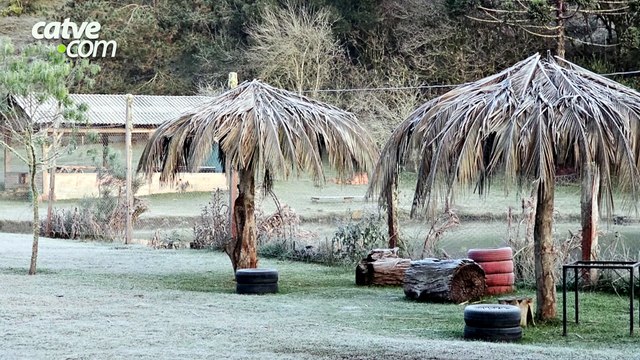 Paraná registra temperaturas negativas e amanhece coberto por geada em diversas cidades