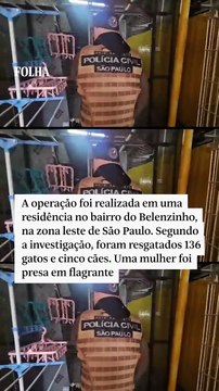 Polícia Civil resgata 141 animais e prende mulher por suspeita de maus-tratos em SP