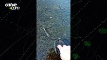 Vídeo mostra açude congelado após manhã de frio extremo no Paraná