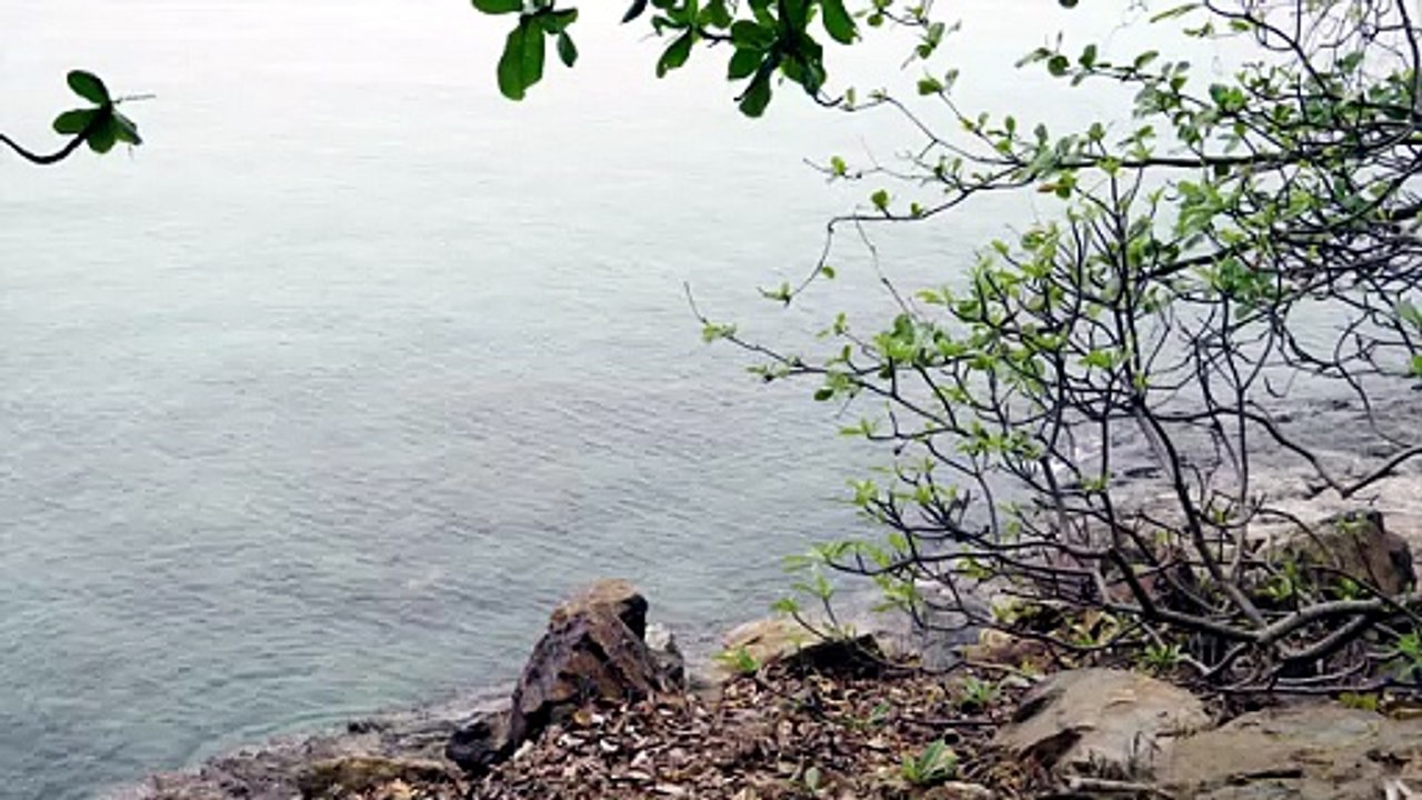 Tranquil Nature Scenes for Quick Relaxation