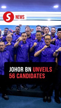 Johor polls: Adham Baba returns in Pasir Raja, Onn Hafiz defends Machap for BN