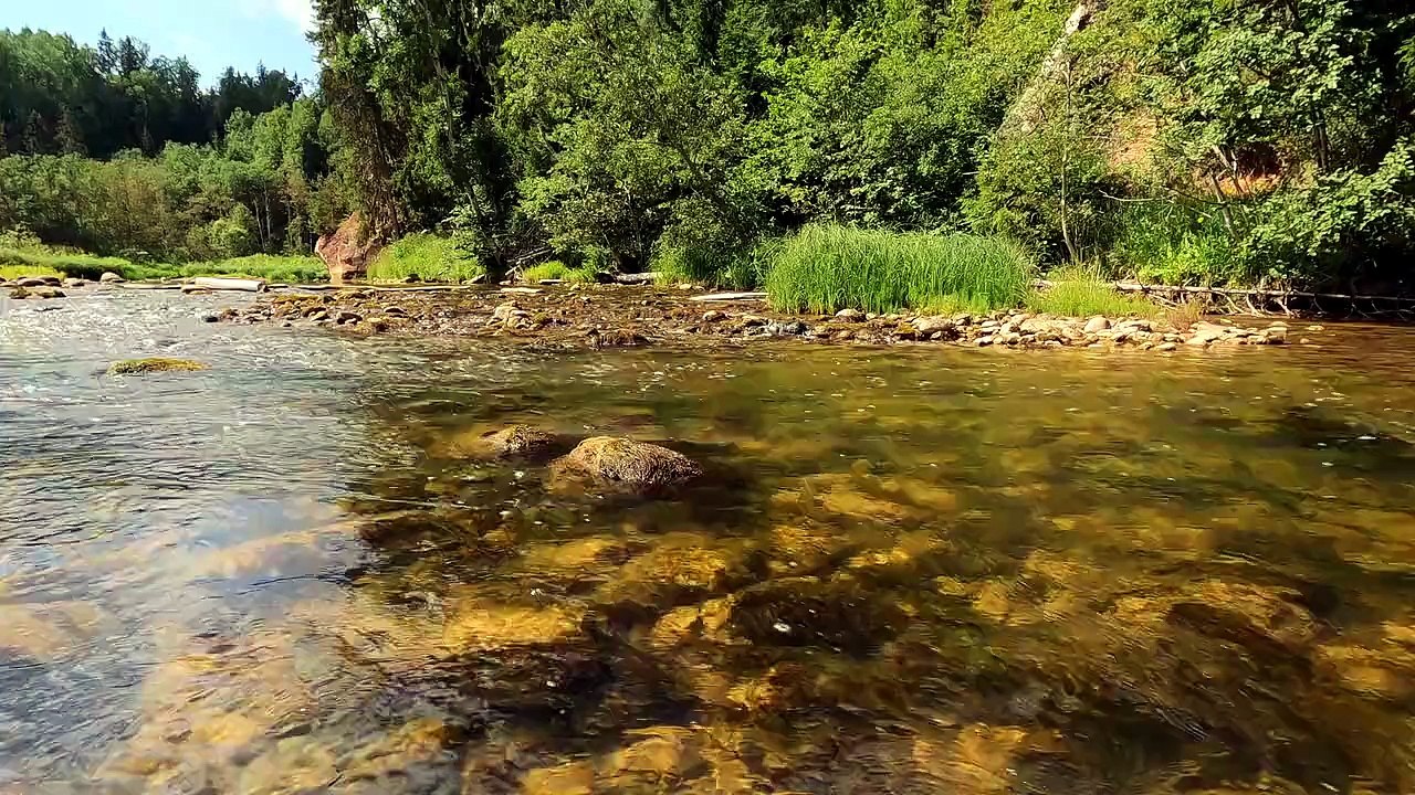 Soothing Nature Relaxation for Mind and Body