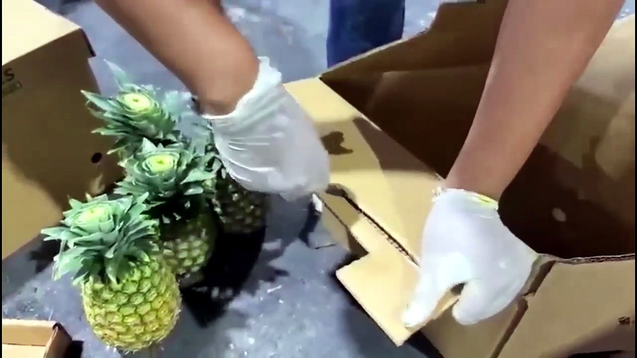 Piña con estupefacientes