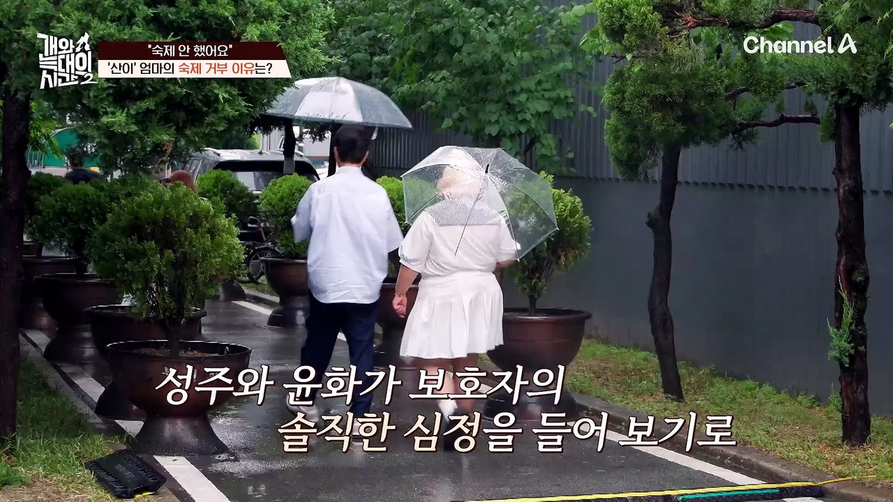 "숙제 안 했어요" '산이' 엄마가 숙제를 거부한 이유는?