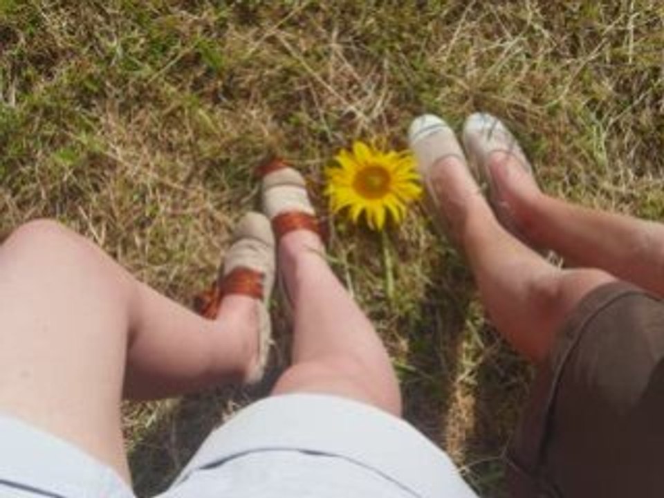 Tournesol, Botte de paille ....