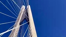 1 Secret Textbooks Miss About Bridges 🌉