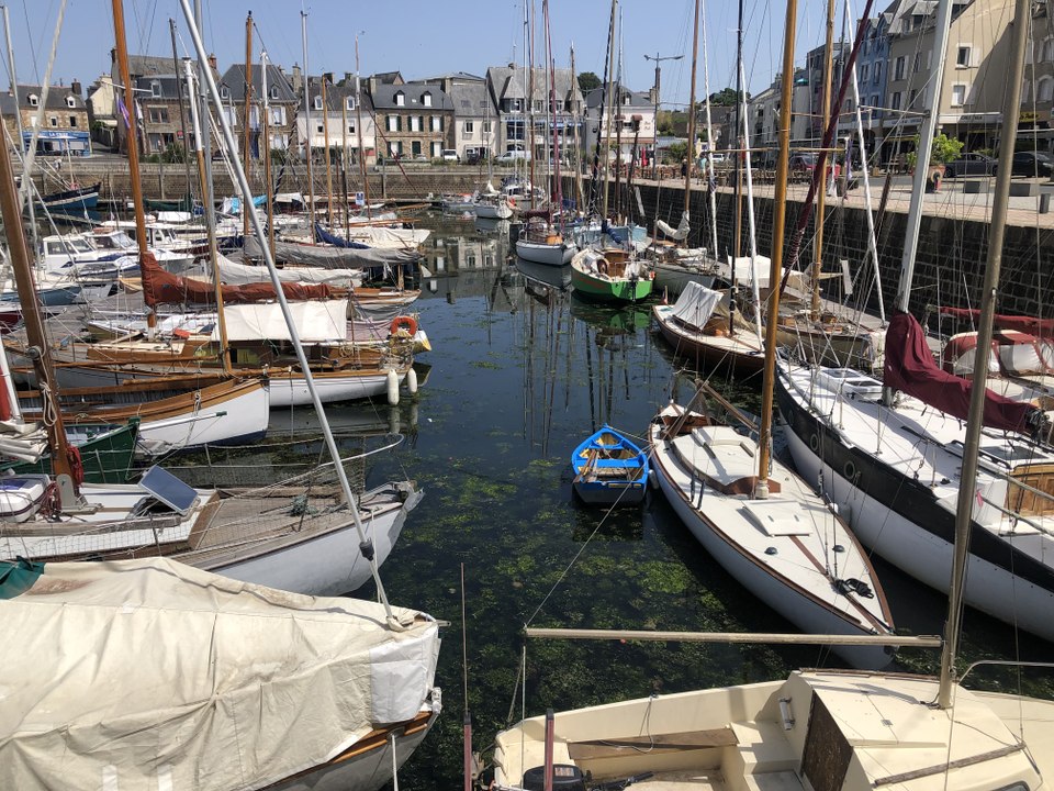 Côtes-d'Armor : pourquoi les bassins du port de Paimpol sont teintés de vert ?